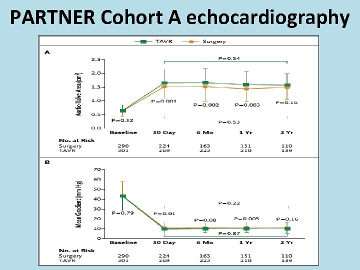 PARTNER Cohort A echocardiography 