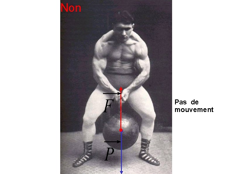 Non Pas de mouvement 