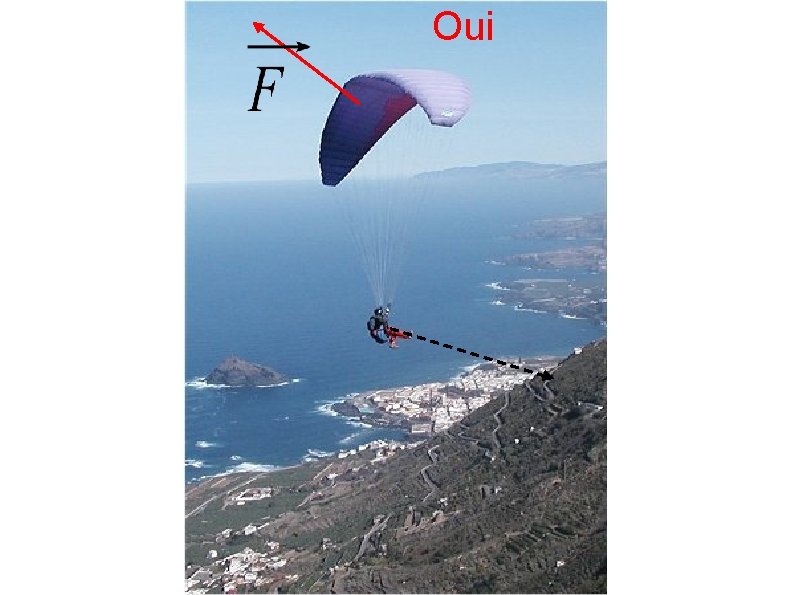 Oui 