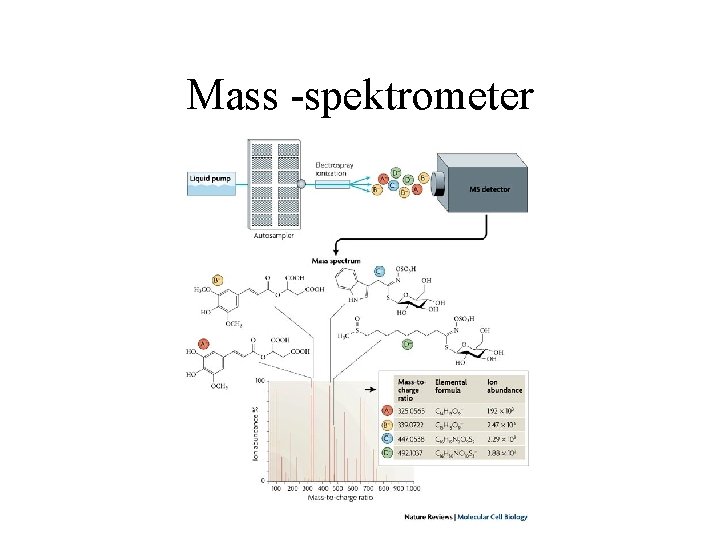 Mass -spektrometer 