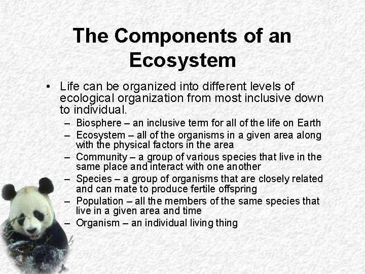 The Components of an Ecosystem • Life can be organized into different levels of The Components of an Ecosystem • Life can be organized into different levels of