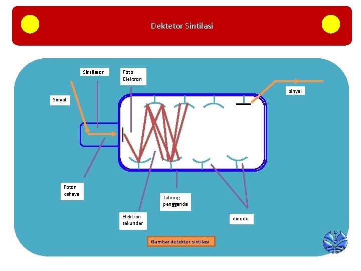 Dektetor Sintilasi Sintilator Foto Elektron sinyal Sinyal Foton cahaya Tabung pengganda Elektron sekunder dinode