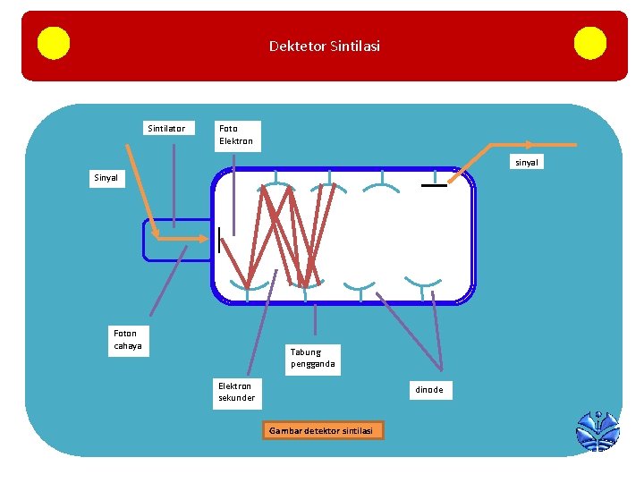 Dektetor Sintilasi Sintilator Foto Elektron sinyal Sinyal Foton cahaya Tabung pengganda Elektron sekunder dinode