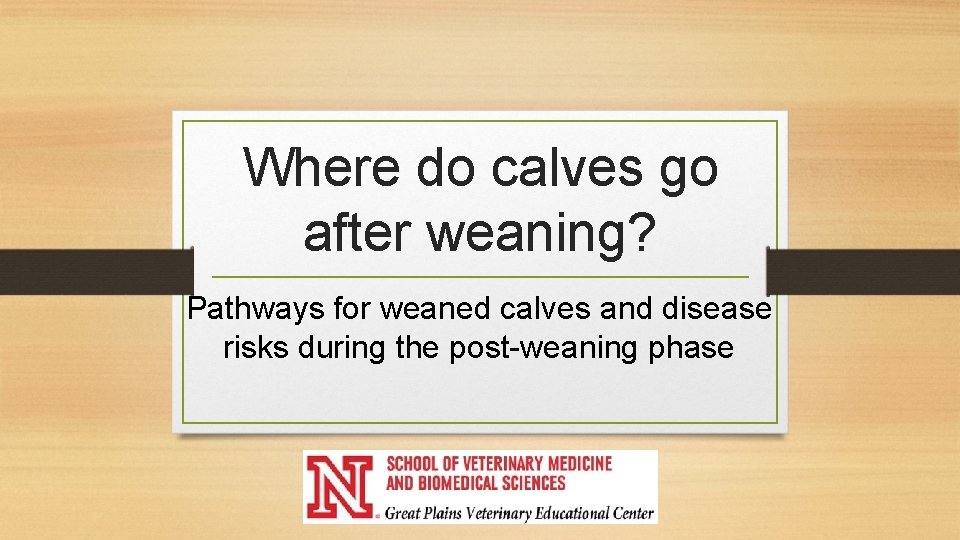 Where do calves go after weaning? Pathways for weaned calves and disease risks during