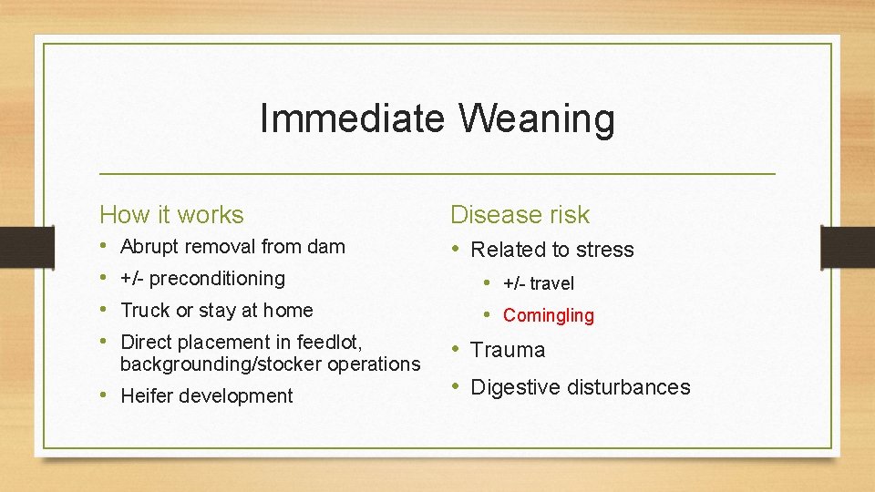 Immediate Weaning How it works • • Abrupt removal from dam +/- preconditioning Truck