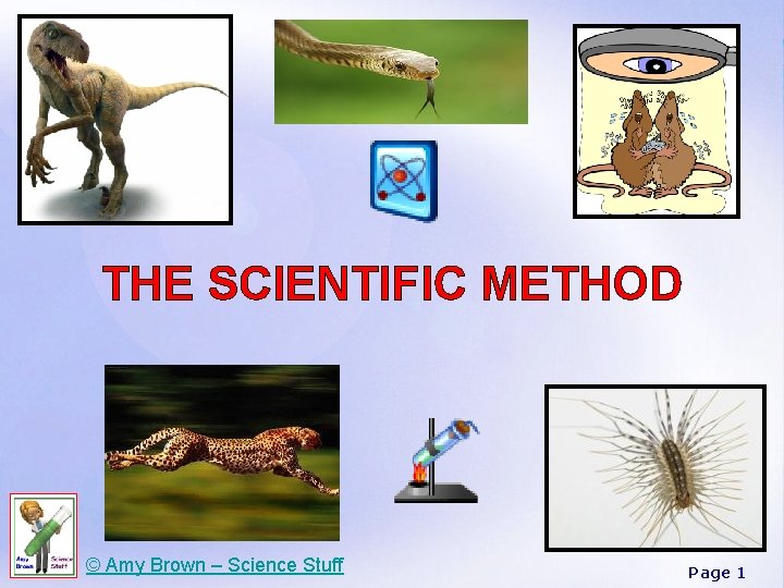 THE SCIENTIFIC METHOD © Amy Brown – Science Stuff Page 1 