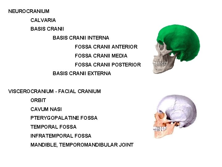 NEUROCRANIUM CALVARIA BASIS CRANII INTERNA FOSSA CRANII ANTERIOR FOSSA CRANII MEDIA FOSSA CRANII POSTERIOR