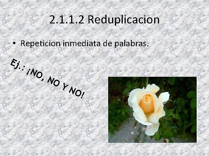 2. 1. 1. 2 Reduplicacion • Repeticion inmediata de palabras. Ej. : ¡N O,