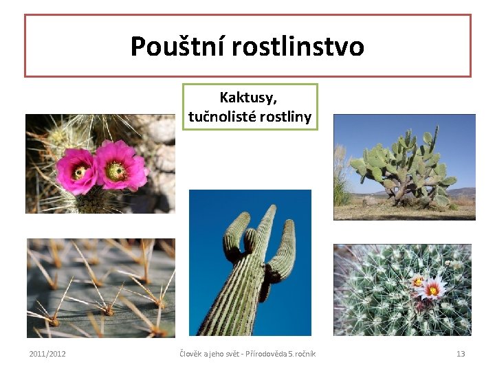 Pouštní rostlinstvo Kaktusy, tučnolisté rostliny 2011/2012 Člověk a jeho svět - Přírodověda 5. ročník