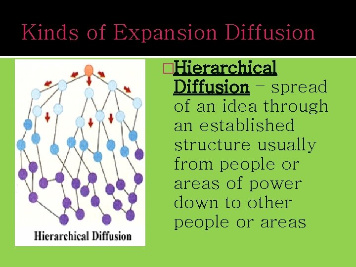 Kinds of Expansion Diffusion �Hierarchical Diffusion – spread of an idea through an established