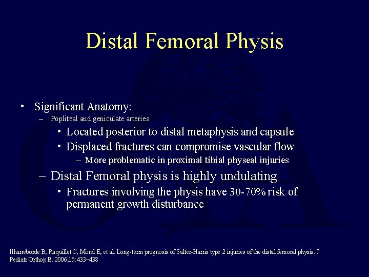 Distal Femoral Physis • Significant Anatomy: – Popliteal and geniculate arteries • Located posterior
