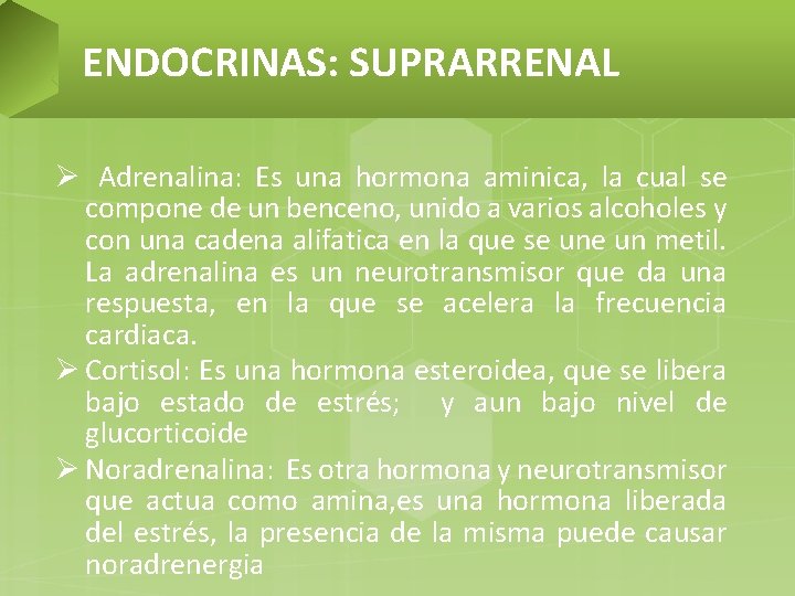 ENDOCRINAS: SUPRARRENAL Ø Adrenalina: Es una hormona aminica, la cual se compone de un