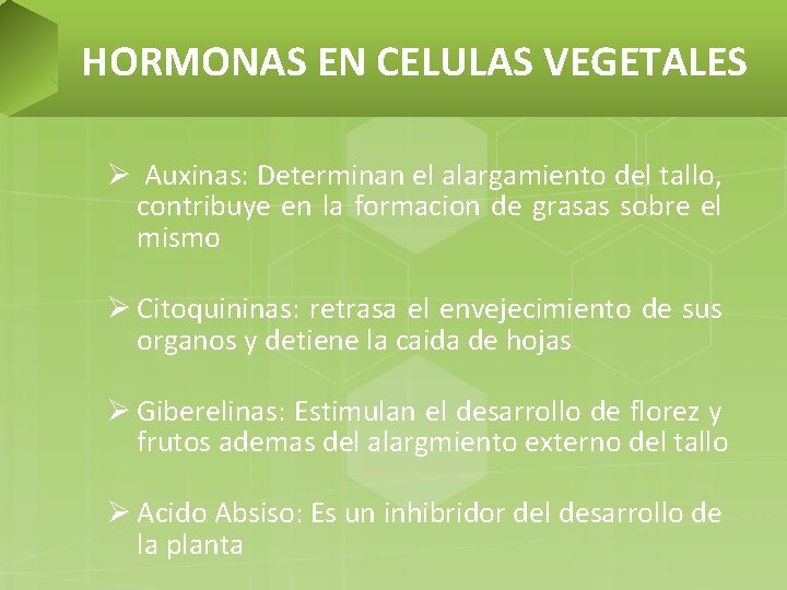 HORMONAS EN CELULAS VEGETALES Ø Auxinas: Determinan el alargamiento del tallo, contribuye en la