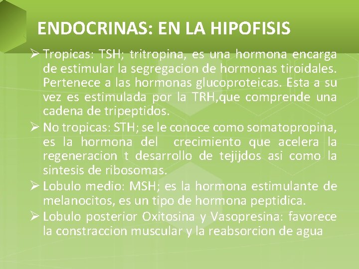 ENDOCRINAS: EN LA HIPOFISIS Ø Tropicas: TSH; tritropina, es una hormona encarga de estimular