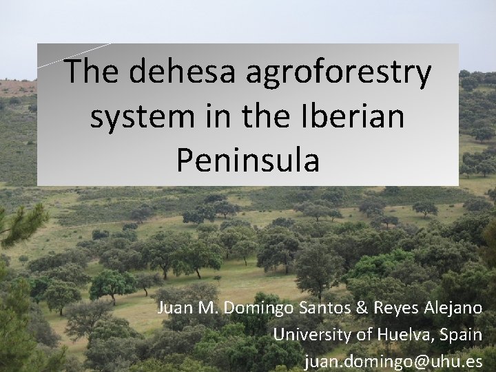 The dehesa agroforestry system in the Iberian Peninsula Juan M. Domingo Santos & Reyes