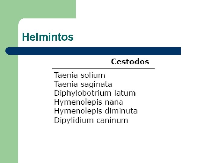 Helmintos 