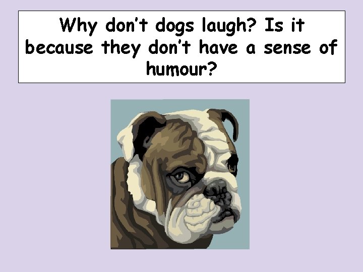 Why don’t dogs laugh? Is it because they don’t have a sense of humour? Why don’t dogs laugh? Is it because they don’t have a sense of humour?