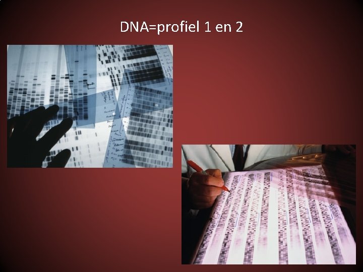 DNA=profiel 1 en 2 