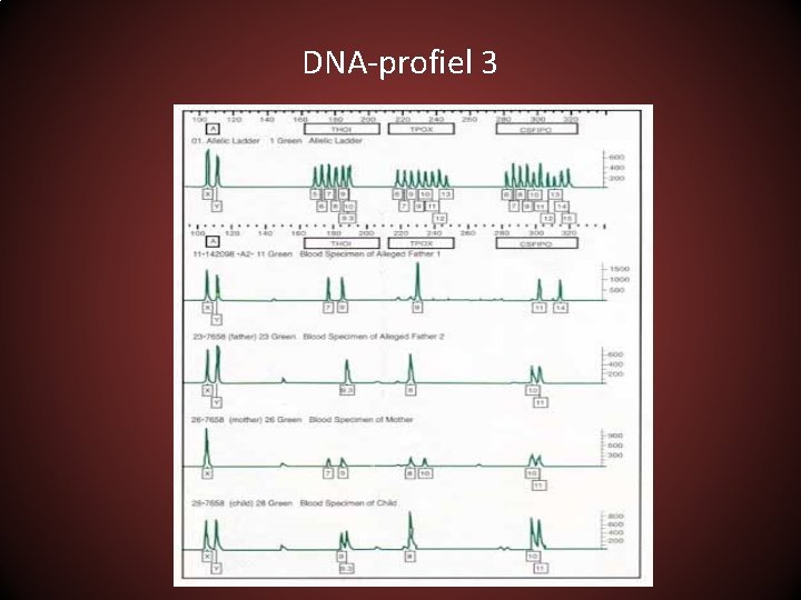 DNA-profiel 3 