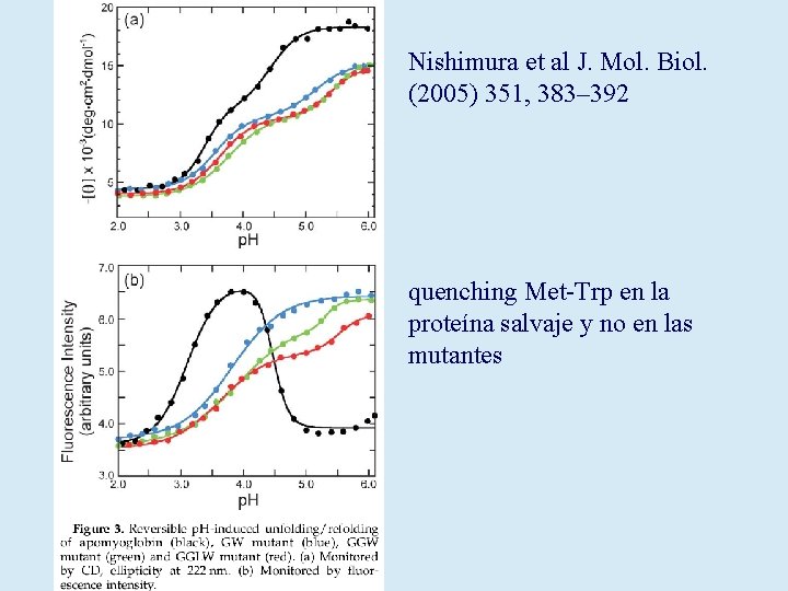 Nishimura et al J. Mol. Biol. (2005) 351, 383– 392 quenching Met-Trp en la