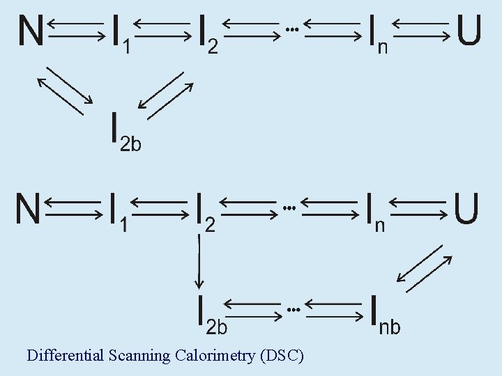 Differential Scanning Calorimetry (DSC) 