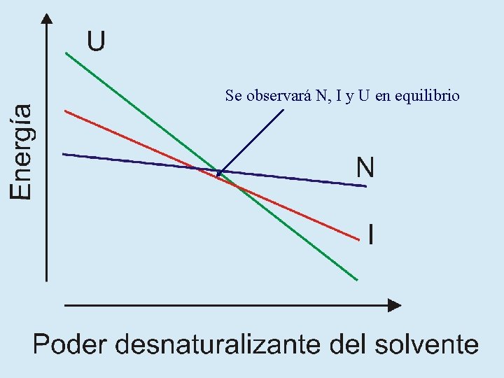 Se observará N, I y U en equilibrio 