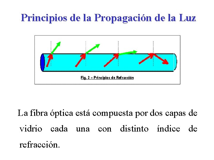 Principios de la Propagación de la Luz La fibra óptica está compuesta por dos