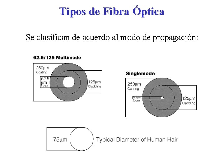 Tipos de Fibra Óptica Se clasifican de acuerdo al modo de propagación: 