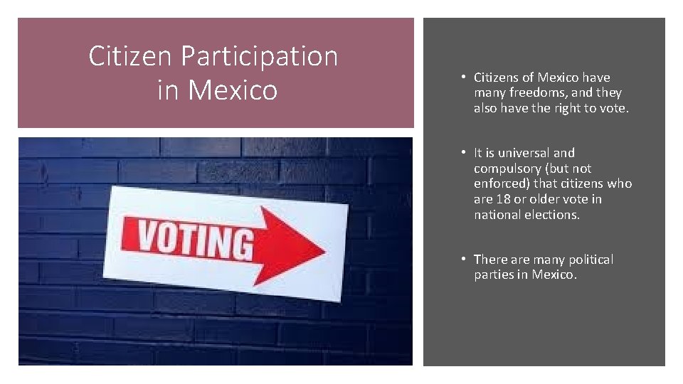 Citizen Participation in Mexico • Citizens of Mexico have many freedoms, and they also