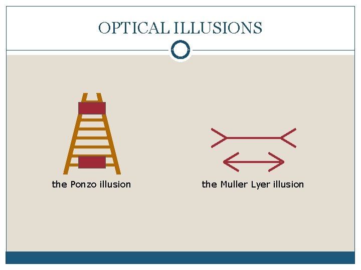 OPTICAL ILLUSIONS the Ponzo illusion the Muller Lyer illusion 