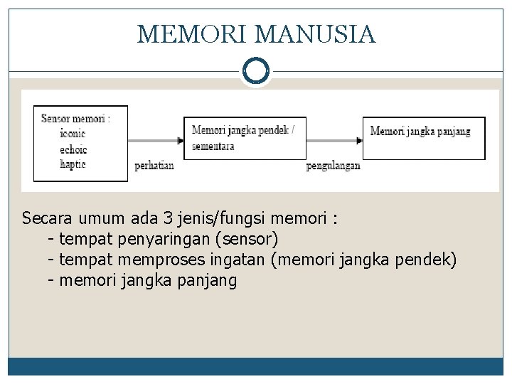 MEMORI MANUSIA Secara umum ada 3 jenis/fungsi memori : - tempat penyaringan (sensor) -