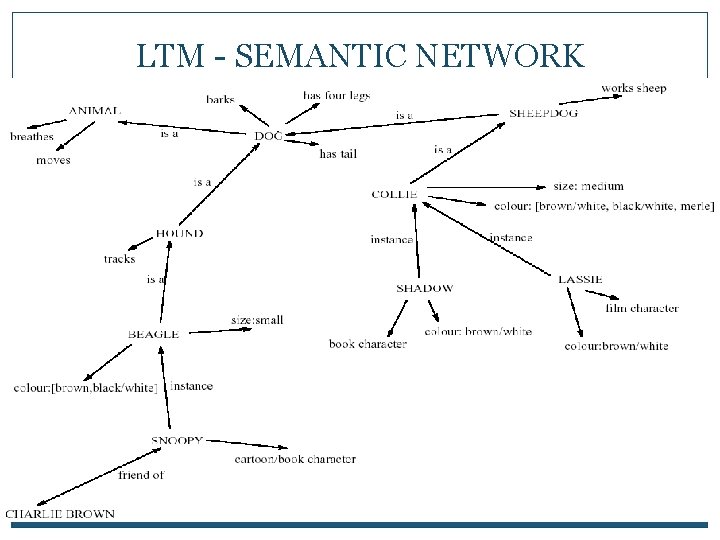 LTM - SEMANTIC NETWORK 