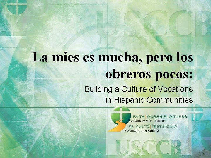 La mies es mucha, pero los obreros pocos: Building a Culture of Vocations in