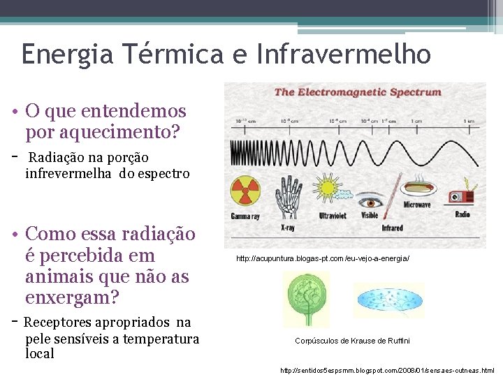 Energia Térmica e Infravermelho • O que entendemos por aquecimento? - Radiação na porção