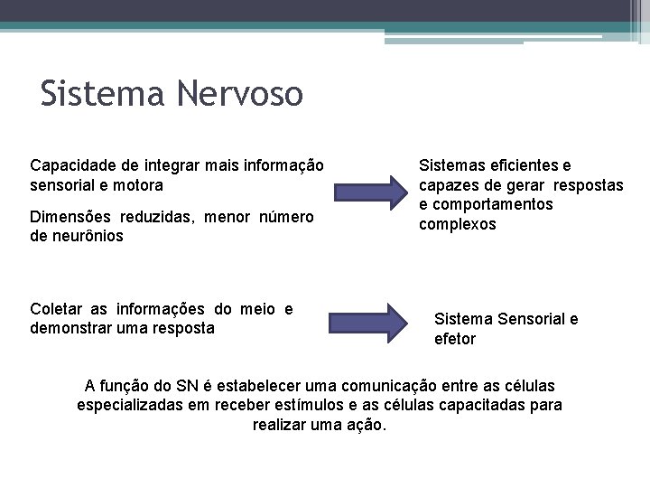 Sistema Nervoso Capacidade de integrar mais informação sensorial e motora Dimensões reduzidas, menor número