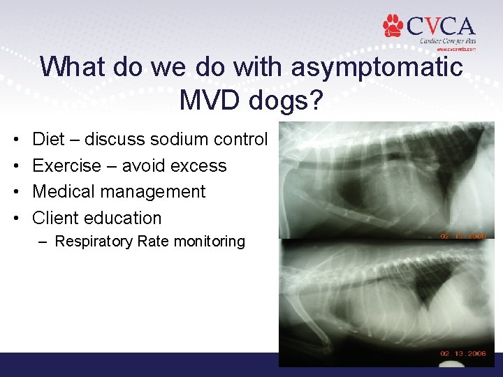 What do we do with asymptomatic MVD dogs? • • Diet – discuss sodium
