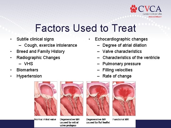 Factors Used to Treat • • • Subtle clinical signs – Cough, exercise intolerance