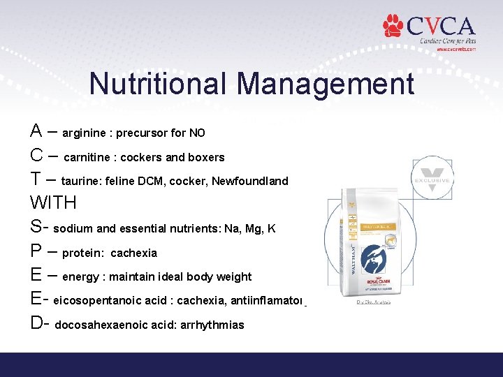 Nutritional Management A – arginine : precursor for NO C – carnitine : cockers