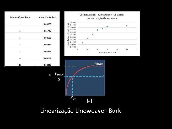  Linearização Lineweaver-Burk 