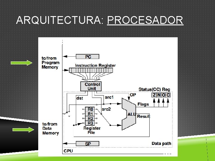 ARQUITECTURA: PROCESADOR 