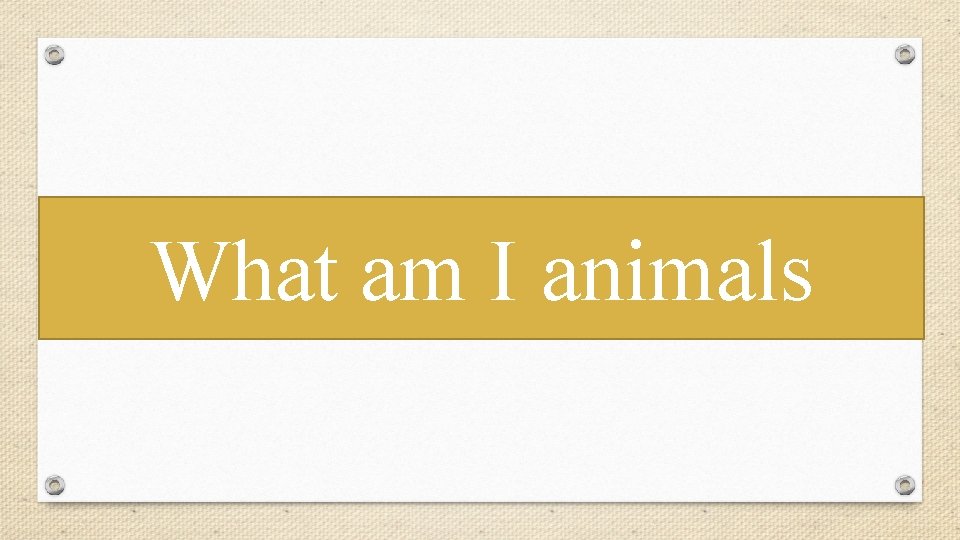 What am I animals 