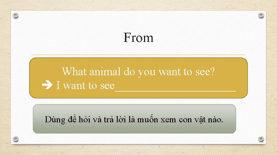 From What animal do you want to see? I want to see___________ Dùng để