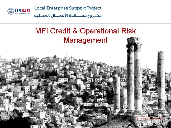 MFI Credit & Operational Risk Management 