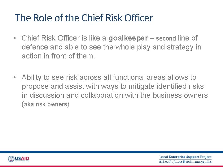 The Role of the Chief Risk Officer • Chief Risk Officer is like a