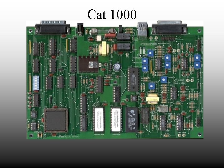 Cat 1000 