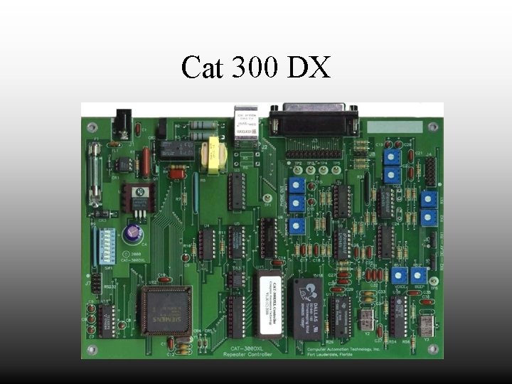 Cat 300 DX 