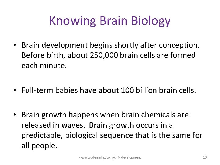 Knowing Brain Biology • Brain development begins shortly after conception. Before birth, about 250, Knowing Brain Biology • Brain development begins shortly after conception. Before birth, about 250,