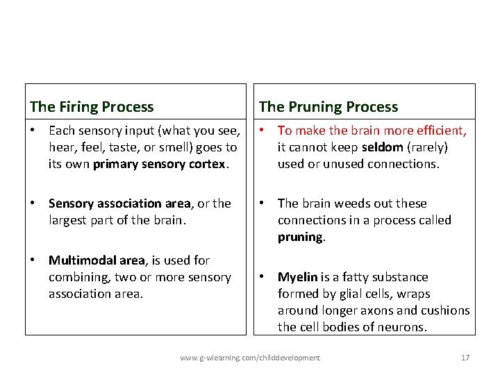 The Firing Process The Pruning Process • Each sensory input (what you see, hear, The Firing Process The Pruning Process • Each sensory input (what you see, hear,