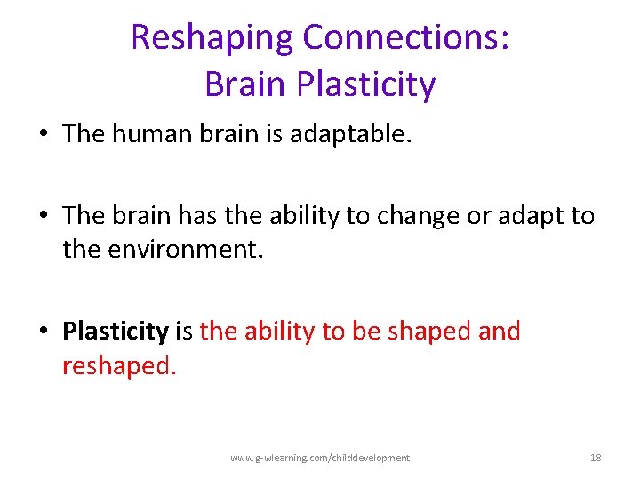 Reshaping Connections: Brain Plasticity • The human brain is adaptable. • The brain has Reshaping Connections: Brain Plasticity • The human brain is adaptable. • The brain has