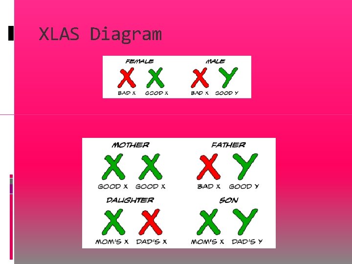 XLAS Diagram 